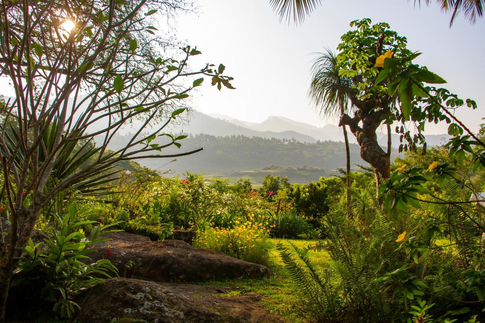 Bougainvillea Retreat Канди Экстерьер фото